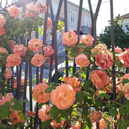 In Vino Veritas Bed & Breakfast 3*