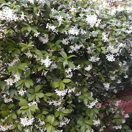 Bed & Breakfast In Vino Veritas