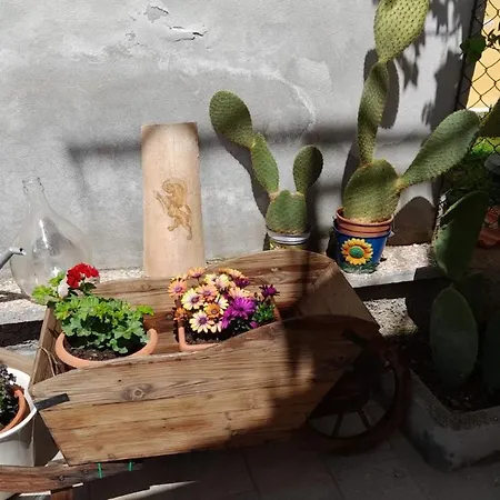 In Vino Veritas Bed & Breakfast