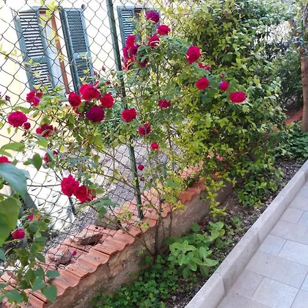 Bed & Breakfast In Vino Veritas Sulmona