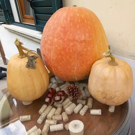 Bed & Breakfast In Vino Veritas Sulmona