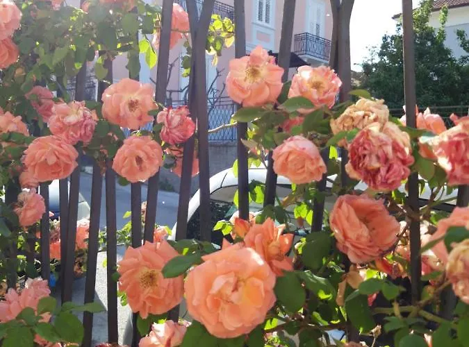 In Vino Veritas Panzió 3*