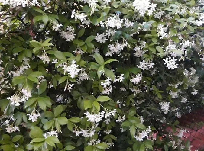 לינה וארוחת בוקר In Vino Veritas