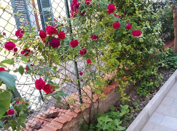 فندق مبيت وإفطار In Vino Veritas سولمونا