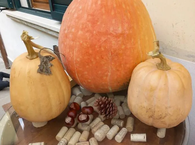 לינה וארוחת בוקר In Vino Veritas סולמונה