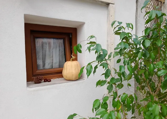 In Vino Veritas לינה וארוחת בוקר 3*